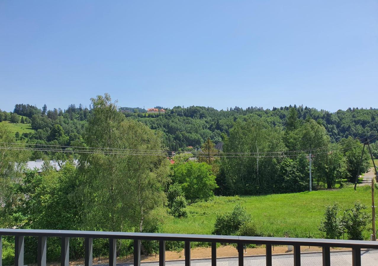 Apartamenty Ski & Fun Spokojna Wisla Exterior photo